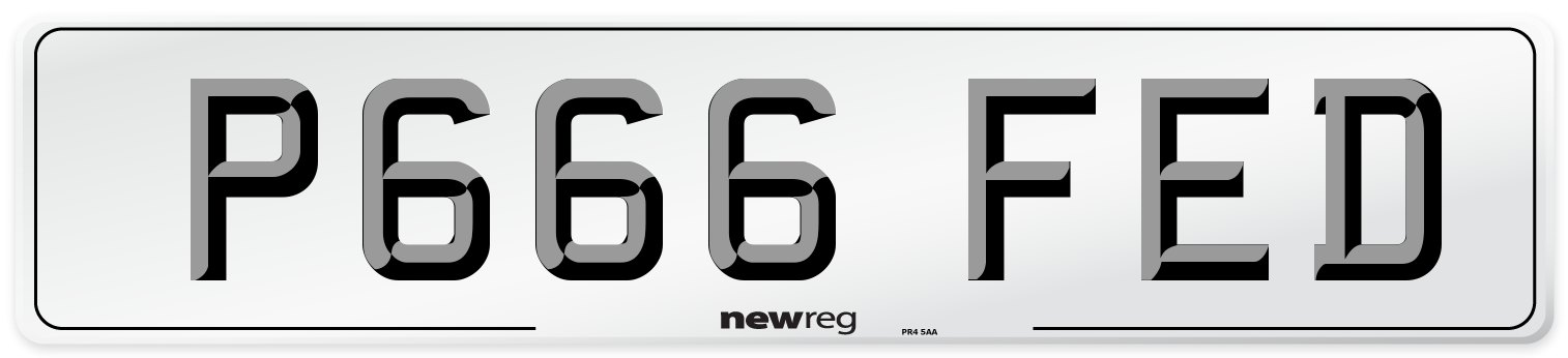 P666 FED Number Plate from New Reg